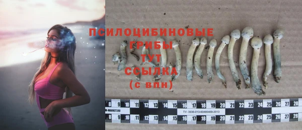 стафф Воткинск